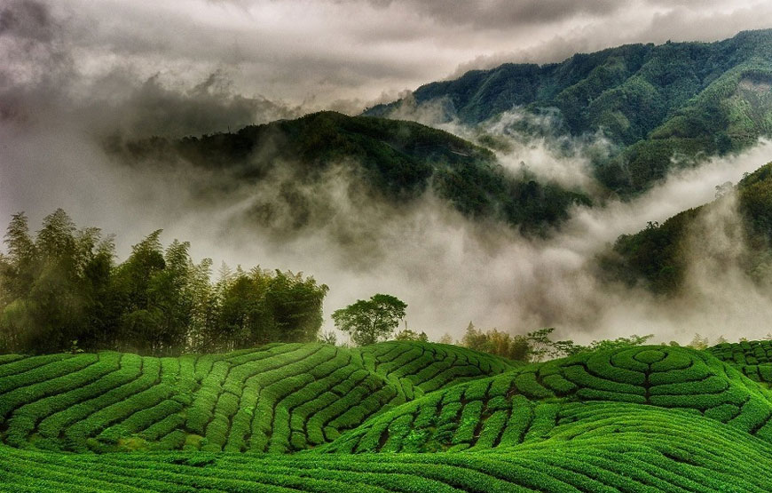 destination